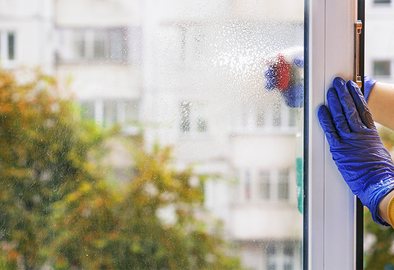 5 raisons de confier le nettoyage de vos vitres à une entreprise professionnelle