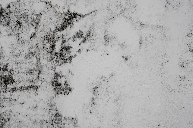 Voici comment blanchir les appareils jaunâtres pour leur donner un aspect comme neuf